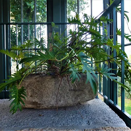 Casas Da Azenha Do Rio *