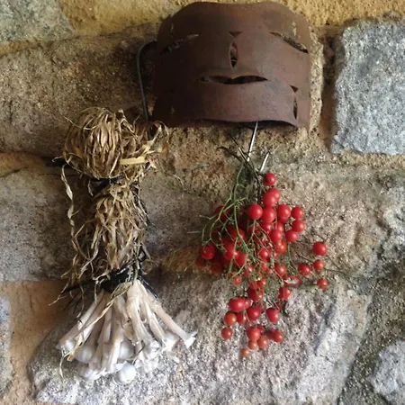 Casas Da Azenha Do Rio Holiday home Barreiros (Amares)