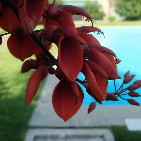 Tatil Evi Casas Da Azenha Do Rio