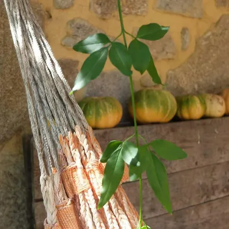 Casas Da Azenha Do Rio * Barreiros (Amares)