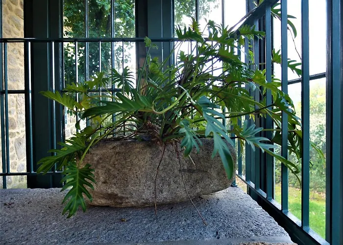 Casas Da Azenha Do Rio *