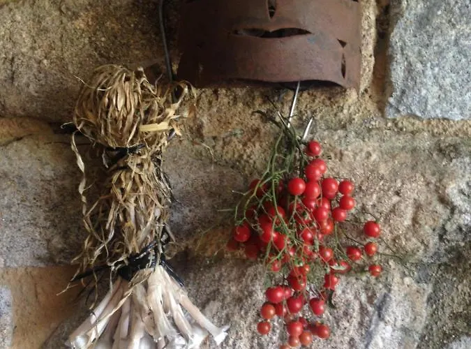 Casas Da Azenha Do Rio Hébergement de vacances Barreiros (Amares)