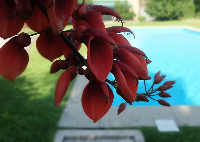 Hébergement de vacances Casas Da Azenha Do Rio