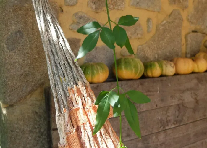 Casas Da Azenha Do Rio * Barreiros (Amares)